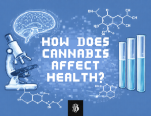 Pixel art blog cover for "long term effects of cannabis". Blue theme, with a microscope and a brain examining chemical formulas