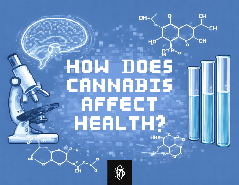 Pixel art blog cover for "long term effects of cannabis". Blue theme, with a microscope and a brain examining chemical formulas